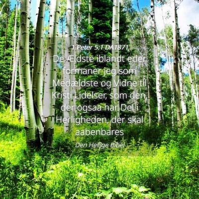 Picture 04 - 1 Peter 5:1 DA1871 - De Ældste iblandt eder formaner jeg som - Bible Verse Picture