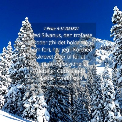 Picture 04 - 1 Peter 5:12 DA1871 - Med Silvanus, den trofaste Broder (thi det holder - Bible Verse Picture