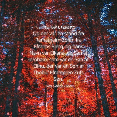 Picture 04 - 1 Samuel 1:1 DA1871 - Og der var en Mand fra Ramathaim-Zofim fra - Bible Verse Picture