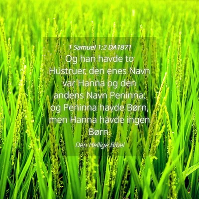 Picture 04 - 1 Samuel 1:2 DA1871 - Og han havde to Hustruer, den enes Navn var Hanna - Bible Verse Picture