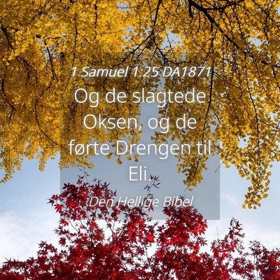 Picture 04 - 1 Samuel 1:25 DA1871 - Og de slagtede Oksen, og de førte Drengen til - Bible Verse Picture