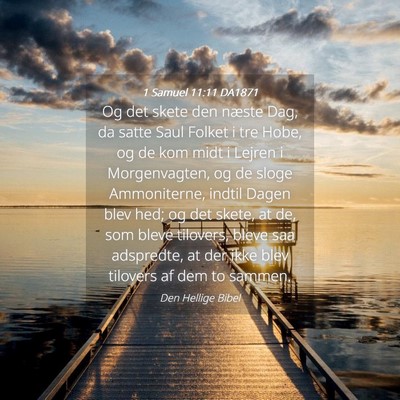 Picture 04 - 1 Samuel 11:11 DA1871 - Og det skete den næste Dag, da satte Saul Folket - Bible Verse Picture