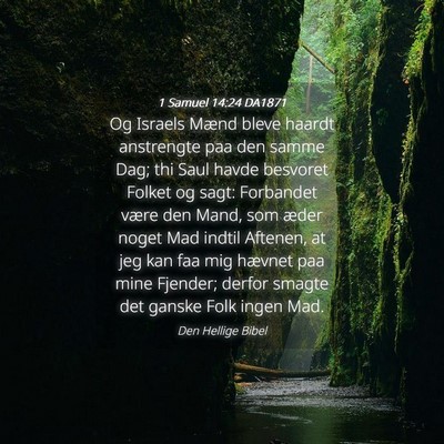 Picture 04 - 1 Samuel 14:24 DA1871 - Og Israels Mænd bleve haardt anstrengte paa den - Bible Verse Picture