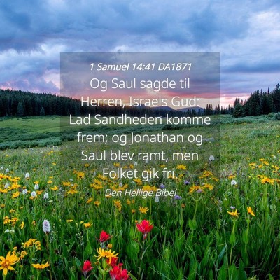 Picture 04 - 1 Samuel 14:41 DA1871 - Og Saul sagde til Herren, Israels Gud: Lad - Bible Verse Picture