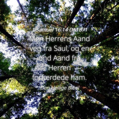 Picture 04 - 1 Samuel 16:14 DA1871 - Men Herrens Aand veg fra Saul, og en ond Aand fra - Bible Verse Picture