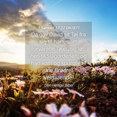 Picture 04 - 1 Samuel 17:22 DA1871 - Da gav David sit Tøj fra sig til ham, som - Bible Verse Picture