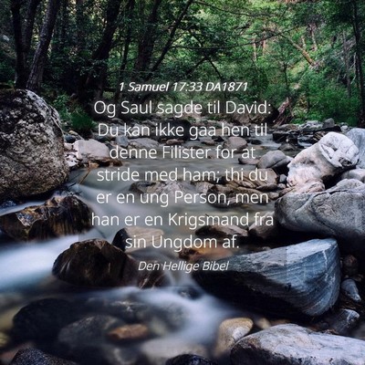 Picture 04 - 1 Samuel 17:33 DA1871 - Og Saul sagde til David: Du kan ikke gaa hen til - Bible Verse Picture