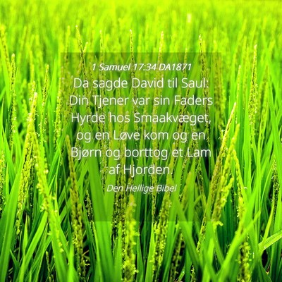 Picture 04 - 1 Samuel 17:34 DA1871 - Da sagde David til Saul: Din Tjener var sin - Bible Verse Picture
