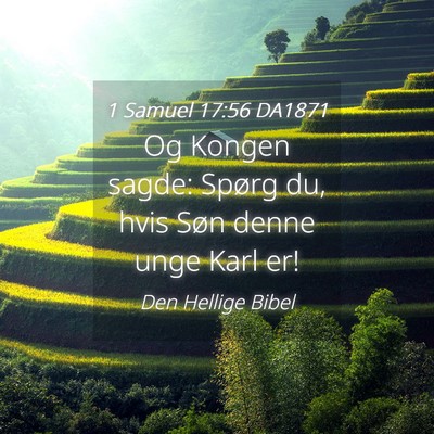 Picture 04 - 1 Samuel 17:56 DA1871 - Og Kongen sagde: Spørg du, hvis Søn denne unge - Bible Verse Picture
