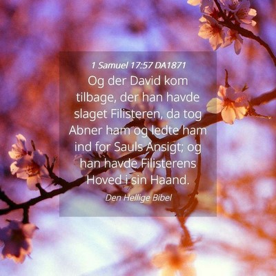 Picture 04 - 1 Samuel 17:57 DA1871 - Og der David kom tilbage, der han havde slaget - Bible Verse Picture