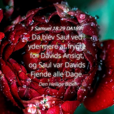 Picture 04 - 1 Samuel 18:29 DA1871 - Da blev Saul ved ydermere at frygte for Davids - Bible Verse Picture