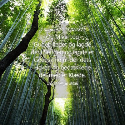 Picture 04 - 1 Samuel 19:13 DA1871 - Og Mikal tog Gudebilledet og lagde det i Sengen - Bible Verse Picture
