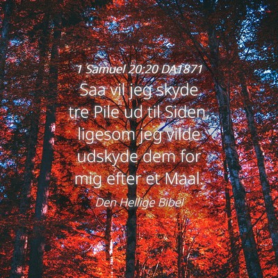 Picture 04 - 1 Samuel 20:20 DA1871 - Saa vil jeg skyde tre Pile ud til Siden, ligesom - Bible Verse Picture