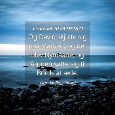 Picture 04 - 1 Samuel 20:24 DA1871 - Og David skjulte sig paa Marken; og det blev - Bible Verse Picture