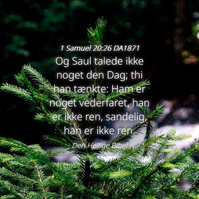 Picture 04 - 1 Samuel 20:26 DA1871 - Og Saul talede ikke noget den Dag; thi han - Bible Verse Picture