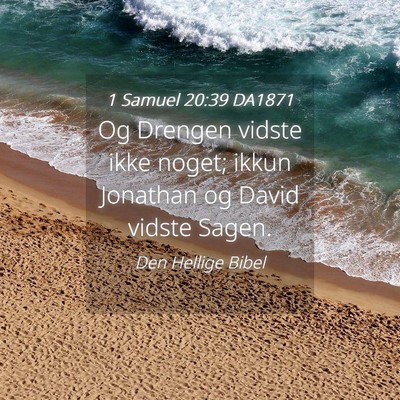 Picture 04 - 1 Samuel 20:39 DA1871 - Og Drengen vidste ikke noget; ikkun Jonathan og - Bible Verse Picture