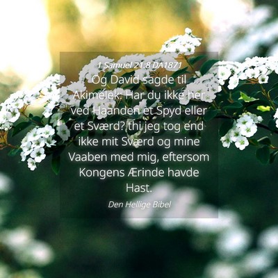 Picture 04 - 1 Samuel 21:8 DA1871 - Og David sagde til Akimelek: Har du ikke her ved - Bible Verse Picture