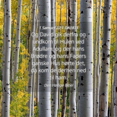 Picture 04 - 1 Samuel 22:1 DA1871 - Og David gik derfra og undkom til Hulen ved - Bible Verse Picture