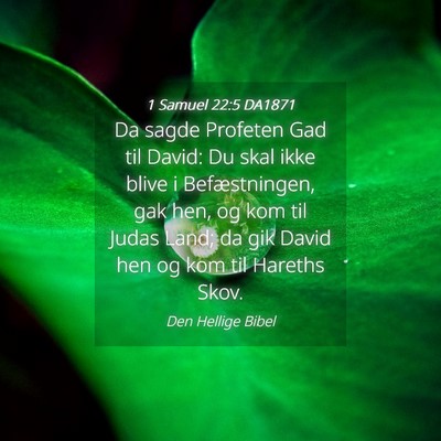 Picture 04 - 1 Samuel 22:5 DA1871 - Da sagde Profeten Gad til David: Du skal ikke - Bible Verse Picture