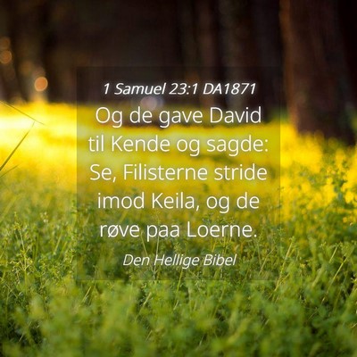 Picture 04 - 1 Samuel 23:1 DA1871 - Og de gave David til Kende og sagde: Se, - Bible Verse Picture