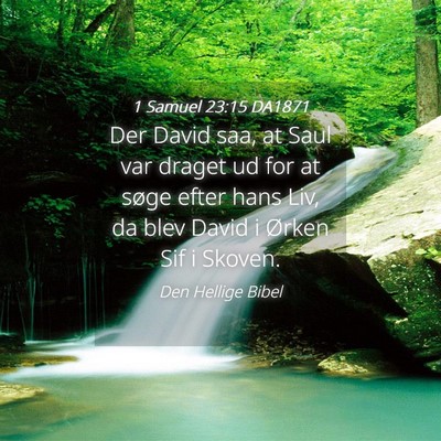 Picture 04 - 1 Samuel 23:15 DA1871 - Der David saa, at Saul var draget ud for at søge - Bible Verse Picture
