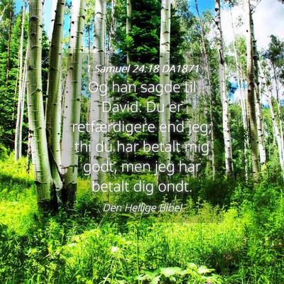 Picture 04 - 1 Samuel 24:18 DA1871 - Og han sagde til David: Du er retfærdigere end - Bible Verse Picture