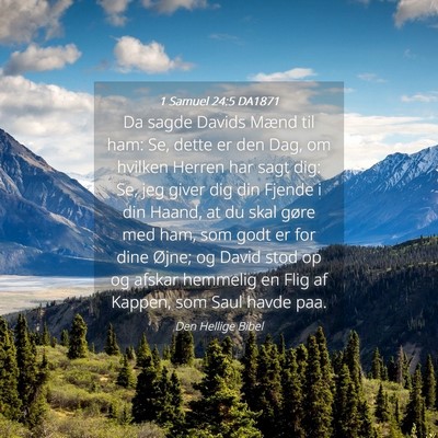 Picture 04 - 1 Samuel 24:5 DA1871 - Da sagde Davids Mænd til ham: Se, dette er den - Bible Verse Picture