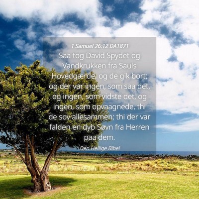 Picture 04 - 1 Samuel 26:12 DA1871 - Saa tog David Spydet og Vandkrukken fra Sauls - Bible Verse Picture