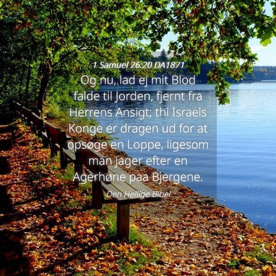 Picture 04 - 1 Samuel 26:20 DA1871 - Og nu, lad ej mit Blod falde til Jorden, fjernt - Bible Verse Picture