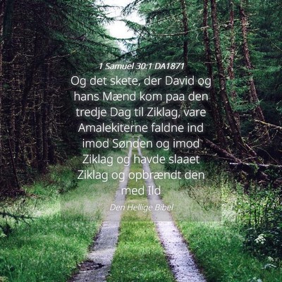 Picture 04 - 1 Samuel 30:1 DA1871 - Og det skete, der David og hans Mænd kom paa den - Bible Verse Picture