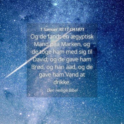 Picture 04 - 1 Samuel 30:11 DA1871 - Og de fandt en ægyptisk Mand paa Marken, og de - Bible Verse Picture