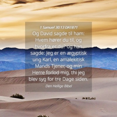 Picture 04 - 1 Samuel 30:13 DA1871 - Og David sagde til ham: Hvem hører du til, og - Bible Verse Picture