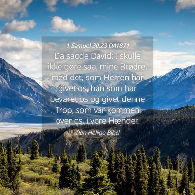 Picture 04 - 1 Samuel 30:23 DA1871 - Da sagde David: I skulle ikke gøre saa, mine - Bible Verse Picture