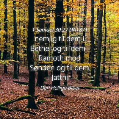 Picture 04 - 1 Samuel 30:27 DA1871 - nemlig til dem i Bethel og til dem i Ramoth mod - Bible Verse Picture