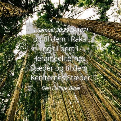 Picture 04 - 1 Samuel 30:29 DA1871 - og til dem i Rakal og til dem i Jerameeliternes - Bible Verse Picture