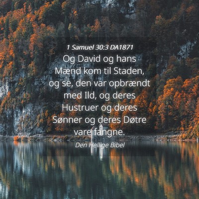 Picture 04 - 1 Samuel 30:3 DA1871 - Og David og hans Mænd kom til Staden, og se, den - Bible Verse Picture