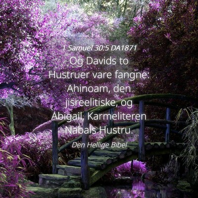 Picture 04 - 1 Samuel 30:5 DA1871 - Og Davids to Hustruer vare fangne: Ahinoam, den - Bible Verse Picture