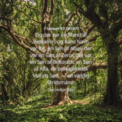 Picture 04 - 1 Samuel 9:1 DA1871 - Og der var en Mand af Benjamin, og hans Navn var - Bible Verse Picture