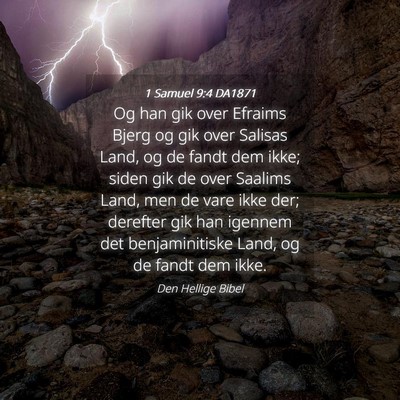 Picture 04 - 1 Samuel 9:4 DA1871 - Og han gik over Efraims Bjerg og gik over Salisas - Bible Verse Picture