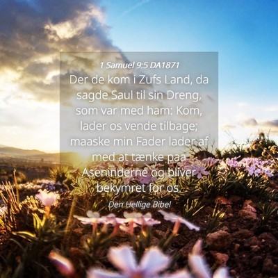 Picture 04 - 1 Samuel 9:5 DA1871 - Der de kom i Zufs Land, da sagde Saul til sin - Bible Verse Picture
