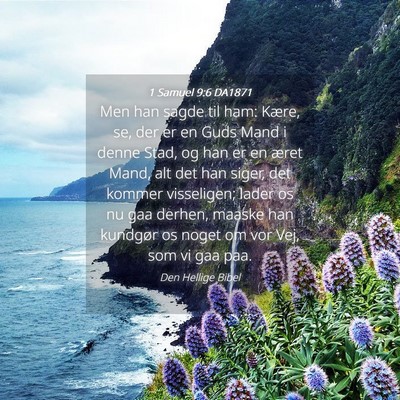 Picture 04 - 1 Samuel 9:6 DA1871 - Men han sagde til ham: Kære, se, der er en Guds - Bible Verse Picture