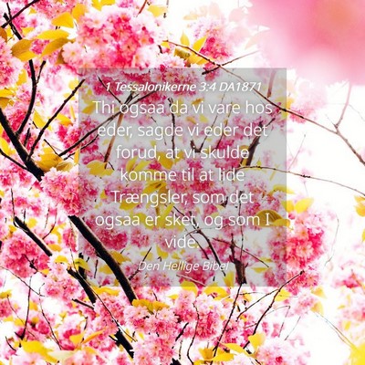 Picture 04 - 1 Tessalonikerne 3:4 DA1871 - Thi ogsaa da vi vare hos eder, sagde vi eder det - Bible Verse Picture