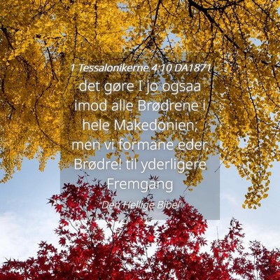 Picture 04 - 1 Tessalonikerne 4:10 DA1871 - det gøre I jo ogsaa imod alle Brødrene i hele - Bible Verse Picture