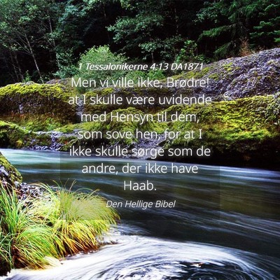 Picture 04 - 1 Tessalonikerne 4:13 DA1871 - Men vi ville ikke, Brødre! at I skulle være - Bible Verse Picture