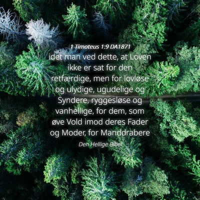 Picture 04 - 1 Timoteus 1:9 DA1871 - idet man ved dette, at Loven ikke er sat for den - Bible Verse Picture