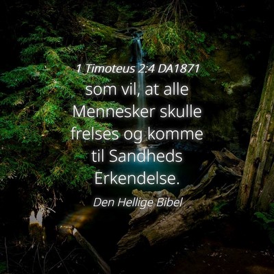 Picture 04 - 1 Timoteus 2:4 DA1871 - som vil, at alle Mennesker skulle frelses og - Bible Verse Picture