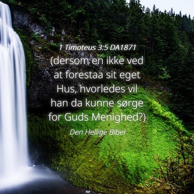 Picture 04 - 1 Timoteus 3:5 DA1871 - (dersom en ikke ved at forestaa sit eget Hus, - Bible Verse Picture