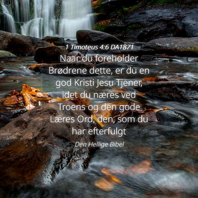 Picture 04 - 1 Timoteus 4:6 DA1871 - Naar du foreholder Brødrene dette, er du en god - Bible Verse Picture