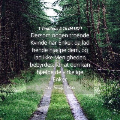 Picture 04 - 1 Timoteus 5:16 DA1871 - Dersom nogen troende Kvinde har Enker, da lad - Bible Verse Picture