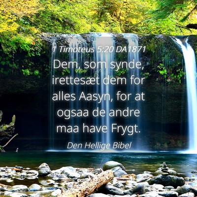 Picture 04 - 1 Timoteus 5:20 DA1871 - Dem, som synde, irettesæt dem for alles Aasyn, - Bible Verse Picture